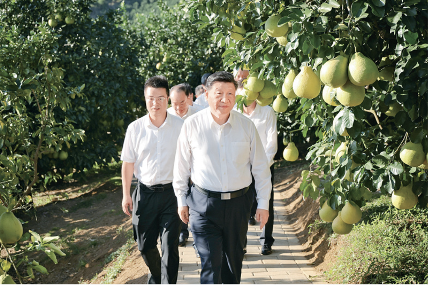 截屏2026-01-05 11.42.05.png